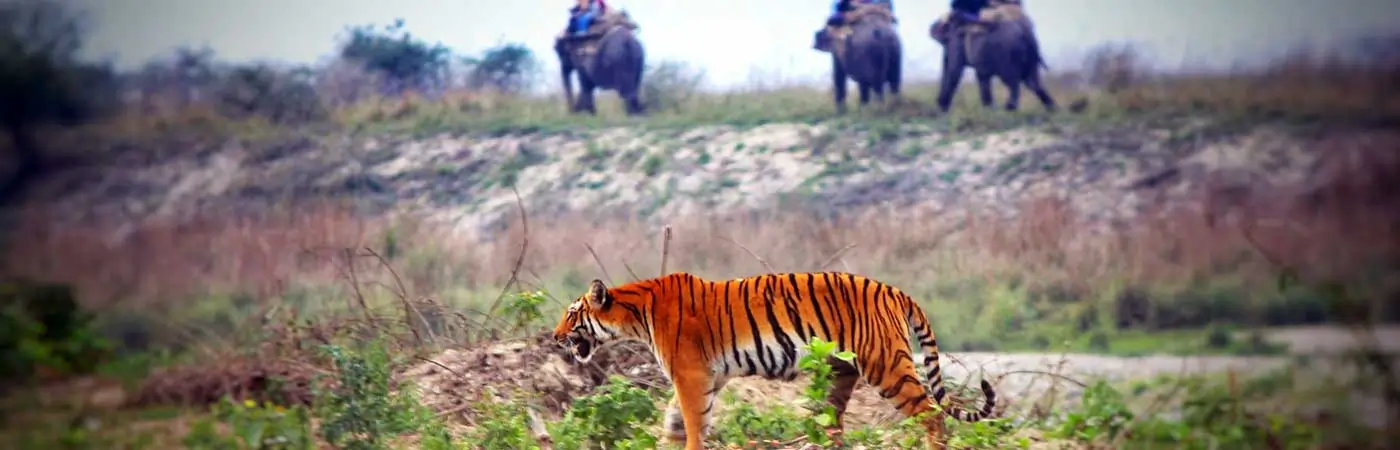 Corbett National Park Visit